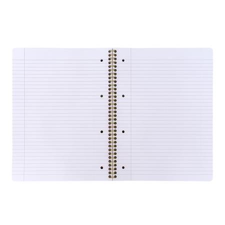 Spirálfüzet, A4+, vonalas, 100 lap, PUKKA PAD "Floral Jotta Notebook", vegyes minta